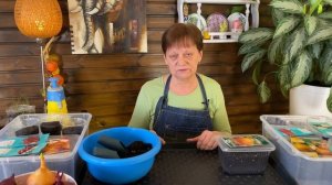 Пора сеять лук на рассаду