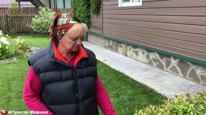 Когда стричь спирею. Стрижка спиреи японской