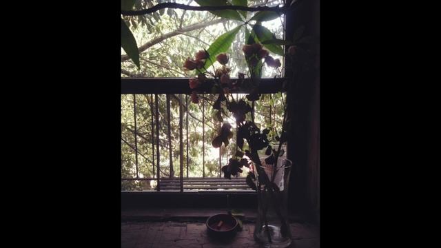 Pervane - Ozdemir Erdogan (Cover) смотреть онлайн