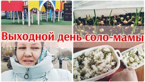 Мой выходной день