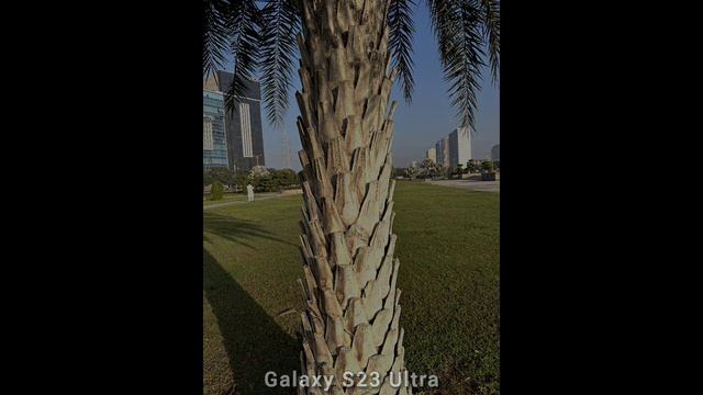 Samsung Galaxy S25 Ultra vs Galaxy S23 Ultra - Сравнение камер в реальной жизни.