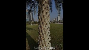 Samsung Galaxy S25 Ultra vs Galaxy S23 Ultra - Сравнение камер в реальной жизни.