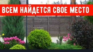 Жду мужа/Всем найдется свое место/Новое удобрение)Петунии по кашпо