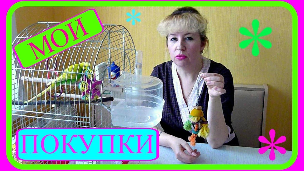 Покупки из зоомагазина//Покупки для попугая