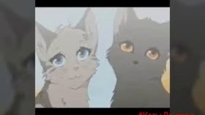 Коты-Воители Крутобок и Серебрянка - Крылья