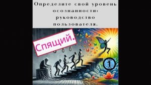 Определите свой уровень осознанности: руководство пользователя 1.