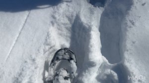 Зимний поход на стегоступах. Высота 1660)