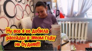 ДАЧНЫЙ СЕЗОН 2024 НАЧАЛСЯ УЖАСНО/Я КАЖЕТСЯ ПОГУБИЛА ВСЮ РАССАДУ/КАКАЯ У МЕНЯ РАССАДА ТОМАТОВ, ПЕРЦЕВ
