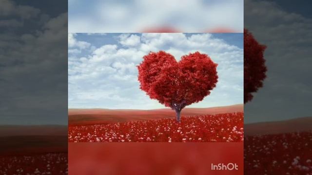 Песня балкон {Самедли} смотреть онлайн