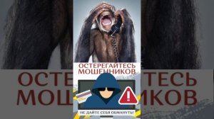 Кинолог и инвестиции!