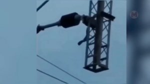 Удар в 100 Тысяч Вольт! Животные, которым Не Повезло с Электричеством!