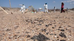Ситуация на Черном море спустя 3 месяца, помощь волонтеров