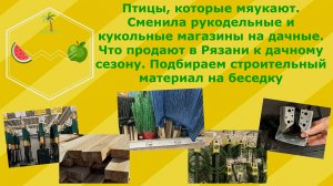 Птицы,которые мяукают.Что продают в Рязани в дачному сезону. Ищем строительный материал на беседку