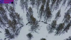 часть 2. Потрясающие пейзажи, дикая природа и уникальная культура Скандинавии-.
