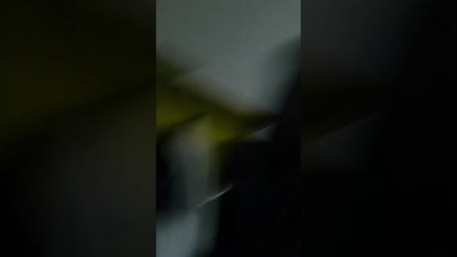 школа