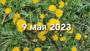 vlog  9 мая 2023
