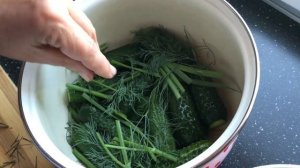 Малосольные огурцы. Легко, просто, вкусно.