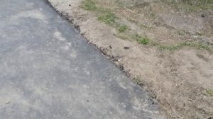 4.04.2025.Усадьба Парк Кино Ляхово. Домодедово. Обзор проведённых работ.Обращение граждан по проблем