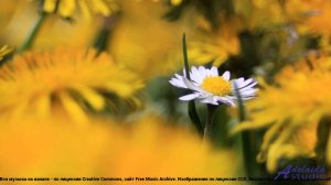 ✸ ♫ ❤ Бит, от которого дрожат стены - Timelapse Dubstep + Future Bass -- BlackTrendMusic -- Unnamed