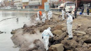 Названа сумма ущерба экологии из-за крушения танкеров в Керченском проливе