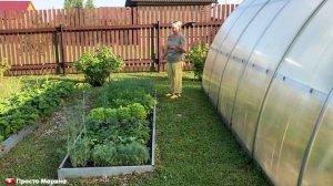 Наш участок. Сад и огород.