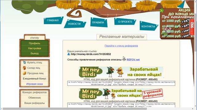 Как заработать на Money Birds Мани Бердс   секреты, фишки, практические советы