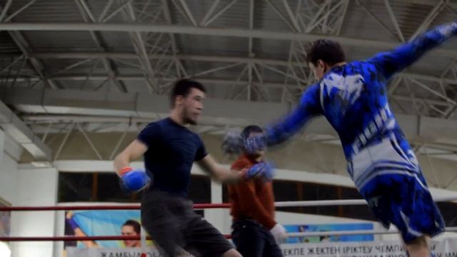 Чемпионат Жамбылской области по ММА смотреть онлайн