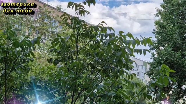 Сегодня 3 июля самый денежный день, нарисуйте эти денежные цифры на руке. Лунный календарь
