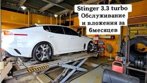 Kia Stinger 3.3 turbo , обслуживание и вложения за 6 месяцев.