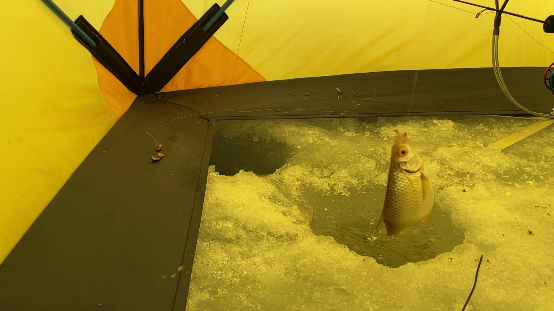 САМАЯ ЛУЧШАЯ СНАСТЬ НА ПЛОТВУ ЗИМОЙ смотреть онлайн