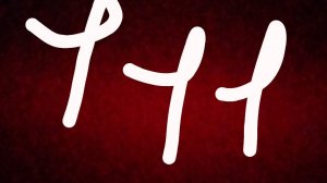 обзор на сумку