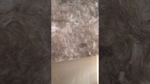 Черновая отделка в доме из Сип панелей. электрика, шумоизрляция, гипсокартон. #сипдом #строимсами #