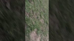 футбольное пробивание