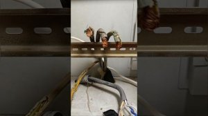 Ремонт электрощита своими руками