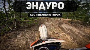 Эндуро-движ: Лес, горки, полный газ!