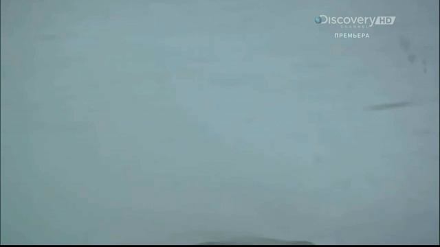 Хаос в действии: кадры очевидцев 10 серия (документальный сериал, 2015)