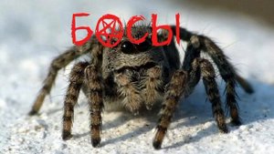 СКОРО ЛЕТО!!!!