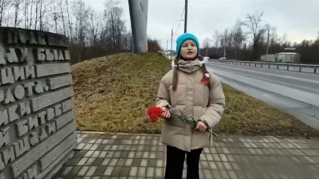 Балтийские крылья