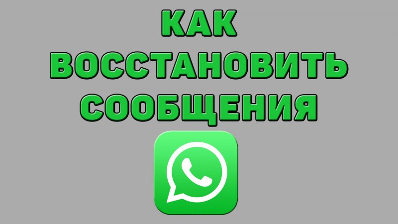 Как восстановить сообщения в Ватсапе
