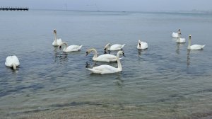 Весенняя Анапа 2025. Нам подключили ГАЗ, а это уже другой уровень комфортности.