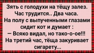 Как Зять с Голодухи с Тещей Лёг! Сборник Свежих Анекдотов! Юмор!