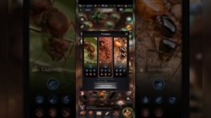 Краткий Старт для Новичков!. The Ants: Underground Kingdom