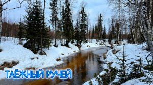 РУЧЕЙ СКАЗАЛ ДО СВИДАНИЕ