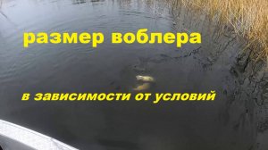 Размер воблера в зависимости от сезона и условий