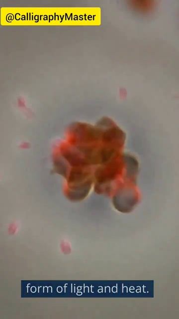 how #sun burn without oxygen🌞 #nuclearfusion #mindblowingfact #nuclearphysics смотреть онлайн