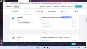 00_быстрая установка JRE