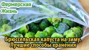 Брюссельская капуста на зиму Лучшие способы хранения