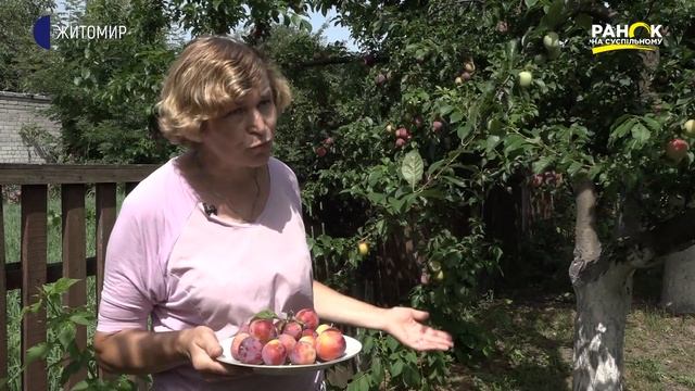 Корисні властивості продуктів  Алича