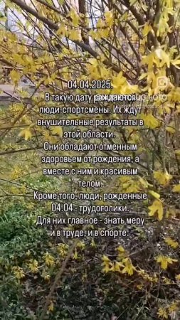 04.04.2025 - люди-спортсмены 🏆