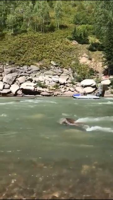 Аэролодка.Карагужиха.пороги. смотреть онлайн